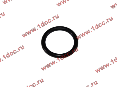 Кольцо уплотнительное форсунки резиновое H2/H3 HOWO (ХОВО) VG609070080 фото 1 Энгельс
