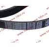 Ремень 8PK1160 SH (612600061295) SHAANXI / Shacman (ШАНКСИ / Шакман) 612600061752 фото 2 Энгельс