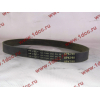 Ремень 8PK790 генератора CDM 855 Lonking CDM (СДМ) 612600090201 фото 2 Энгельс