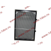 Радиатор WP12 SH SHAANXI / Shacman (ШАНКСИ / Шакман) DZ95259532201 фото 2 Энгельс