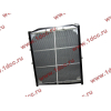Радиатор WP10 SH SHAANXI / Shacman (ШАНКСИ / Шакман) DZ9112539268 фото 2 Энгельс