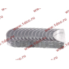 Вкладыши коренные стандарт +0.00 (14шт) LONGGONG CDM833 Lonking CDM (СДМ) 13034908/13034916 фото 2 Энгельс