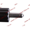 Форсунка в сборе HOKA WD615.95C HOWO (ХОВО) VG1096080010 фото 2 Энгельс