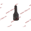 Распылитель DELPHI L337PBB DBG H HOWO (ХОВО) L337PBB фото 3 Энгельс