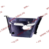Корпус подножки DF-3251 правый DONG FENG (ДОНГ ФЕНГ) 8405226-C0100-белая для самосвала фото 3 Энгельс