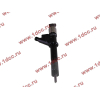 Форсунка в сборе HOKA WD615.95C HOWO (ХОВО) VG1096080010 фото 5 Энгельс